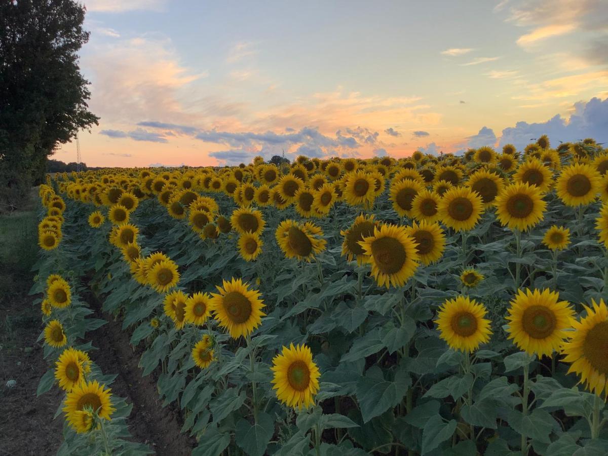 Herry Autour Des Vignes B&B 외부 사진